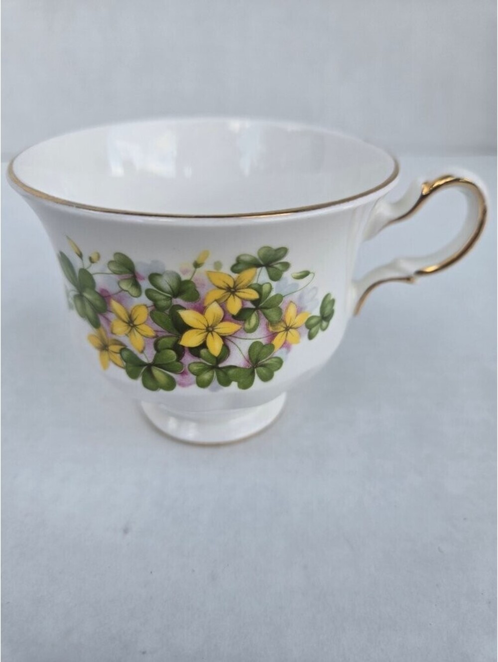 Queen Anne Bone China Teacup with Floral Design 8695